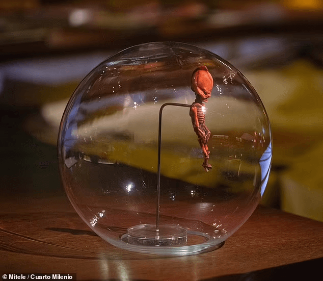 A chilei Ata-csontváz rejtélye: ősi emberi vagy földönkívüli eredetű lelet?